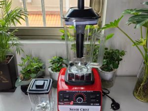 IMG_2821 Silver Crest Blender